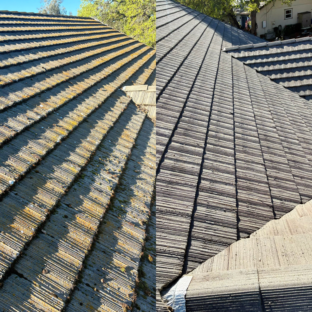 Tile Roof Restoration — before and after by Pure Pressure Pro Cleaning