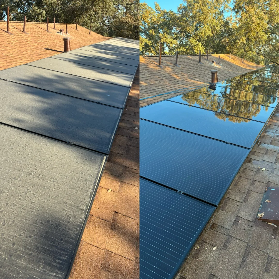 Tree-Cover Solar Array — before and after by Pure Pressure Pro Cleaning